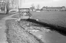 70189 Gezicht op het plantsoen met op de achtergrond de voorgevels van enkele huizen aan de Mr. Sickeszlaan te Utrecht; ...